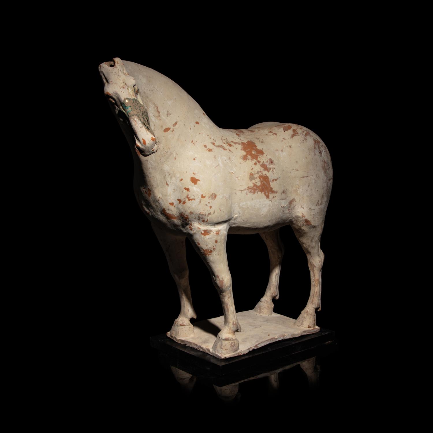 A Chinese Painted Pottery Horse, Tang Dynasty — 唐 白陶馬