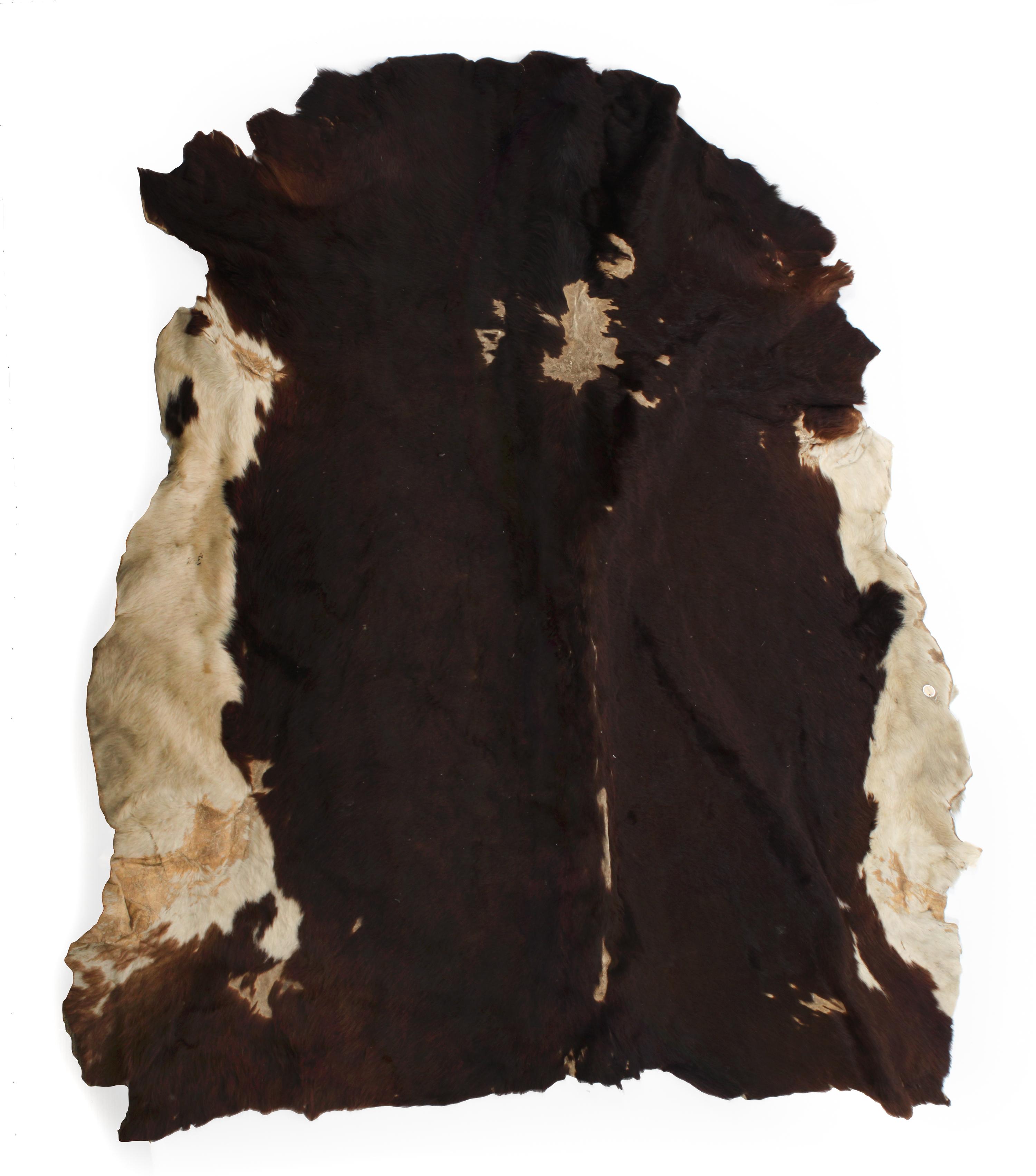 Three Native Tanned Hides Length of largest approximately 82 x 71 inches.