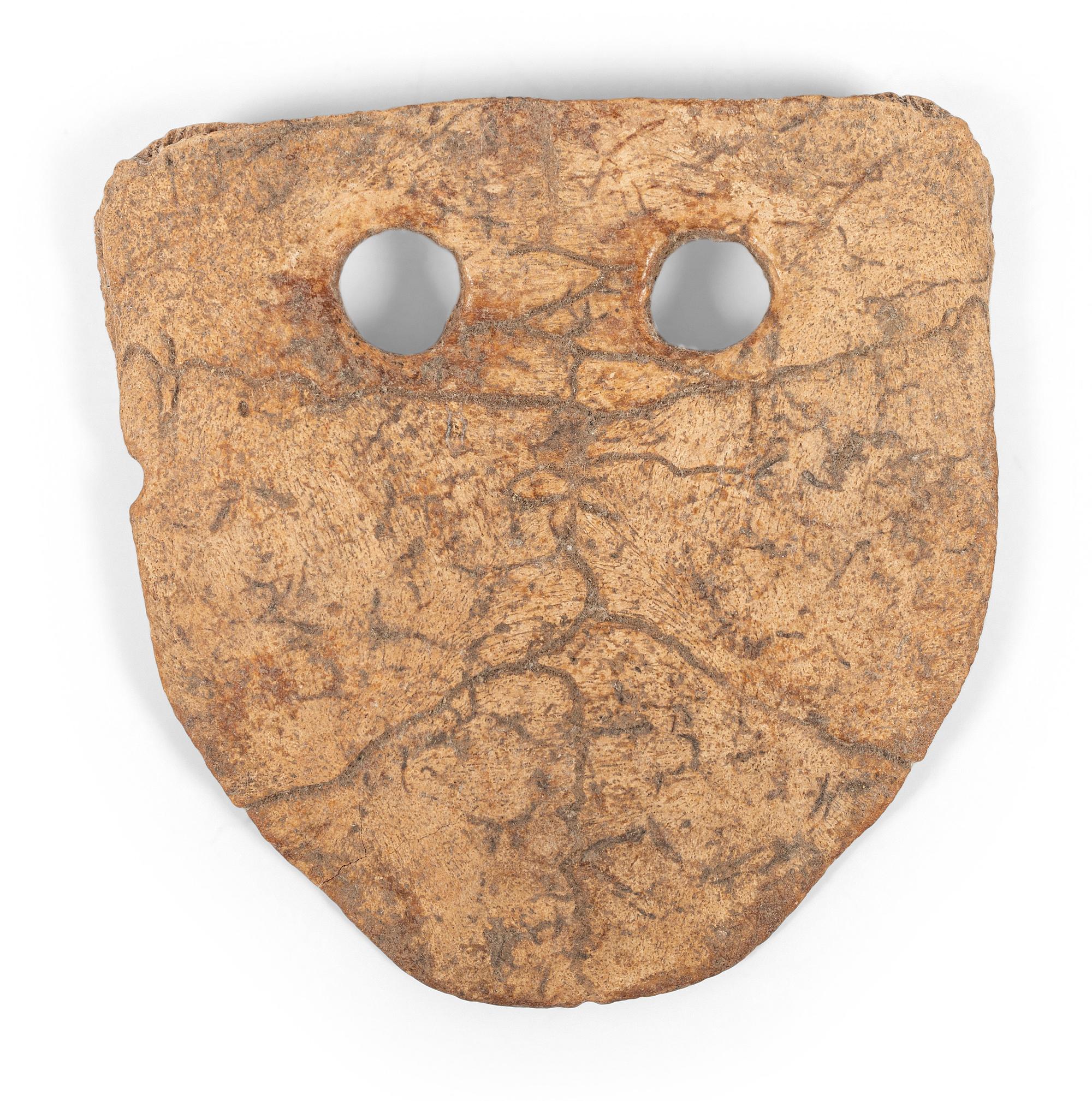 A Turtle Shell Gorget