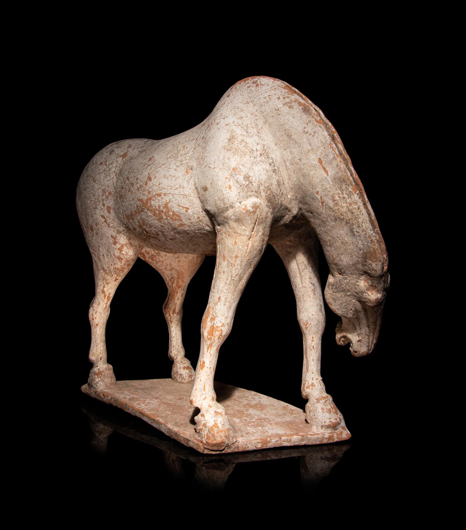 Three Chinese Pottery Equine Figures