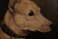 Two Paintings of Champion Bull Terriers