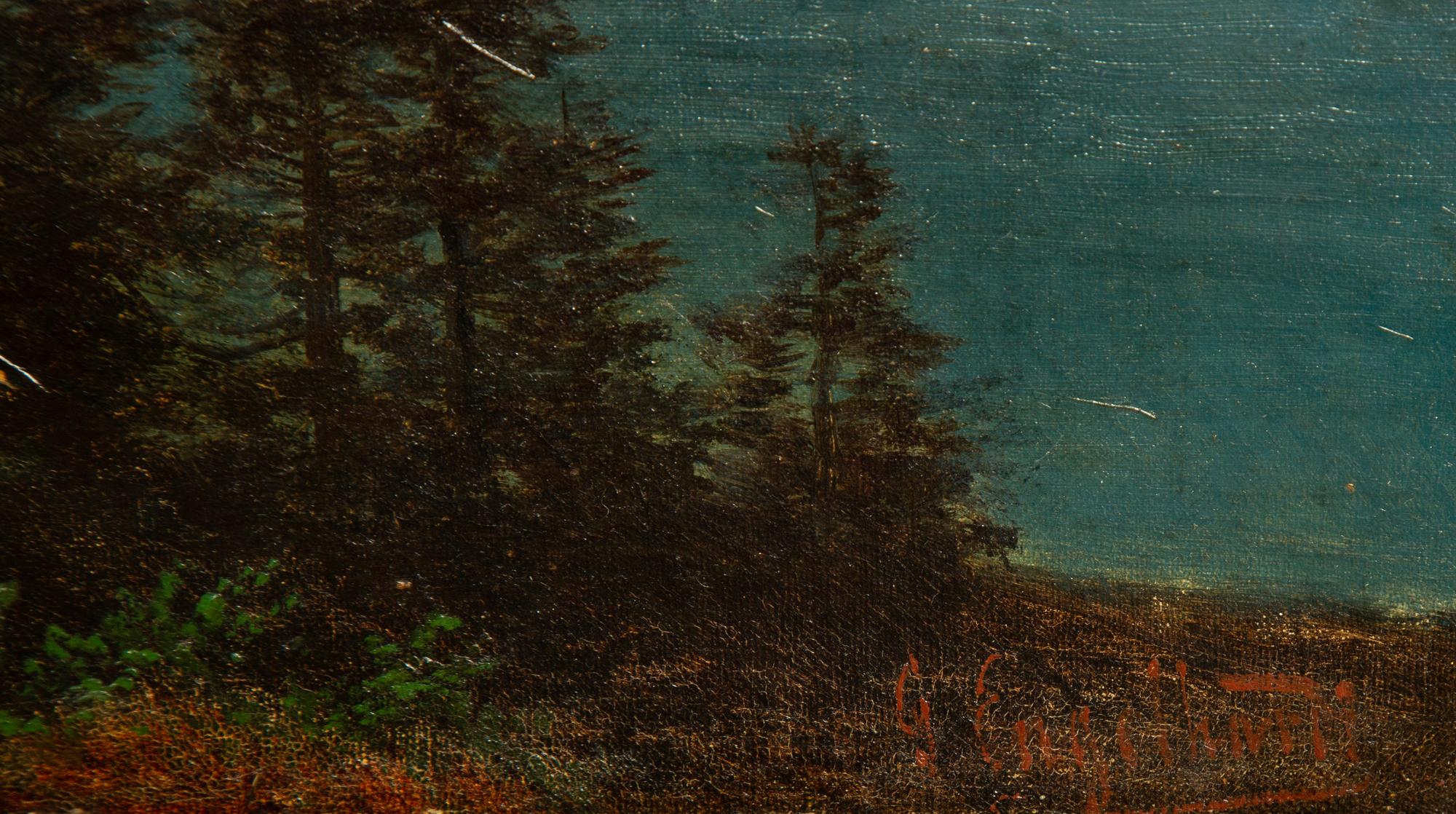 Path Along an Alpine Lake