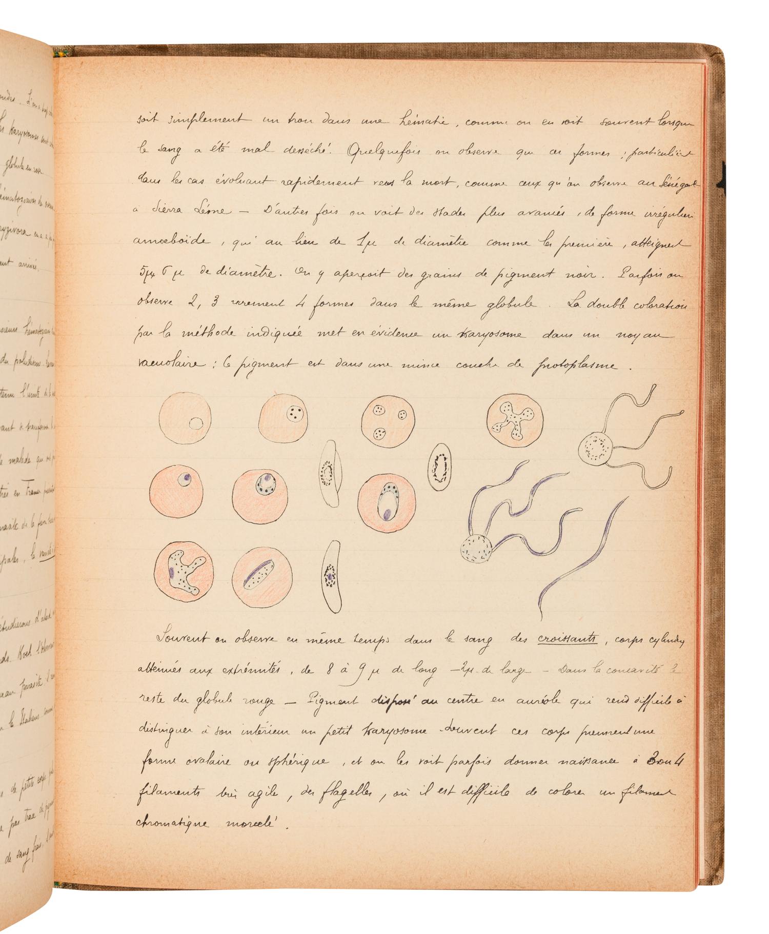 [BIOLOGY -- MANUSCRIPTS]. A group of 4 notebooks of student’s lecture notes, including: