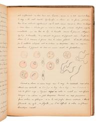 [BIOLOGY -- MANUSCRIPTS]. A group of 4 notebooks of student’s lecture notes, including:
