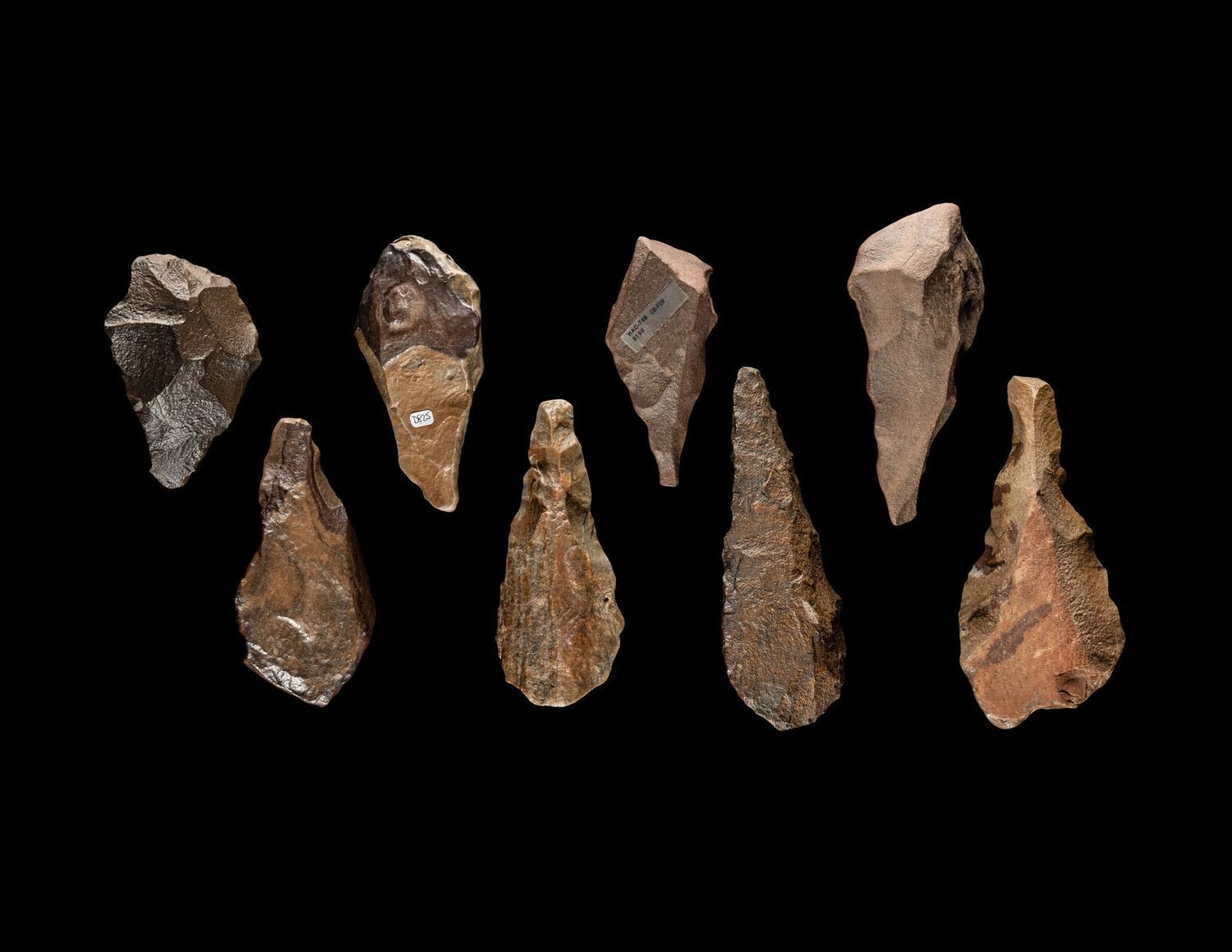 Eight Paleolithic Chert Hand Axes