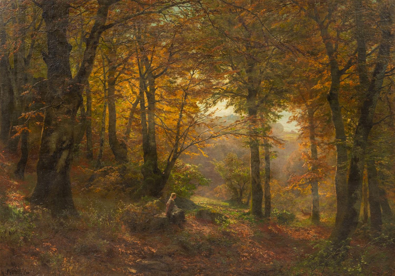 A Woodland Glade