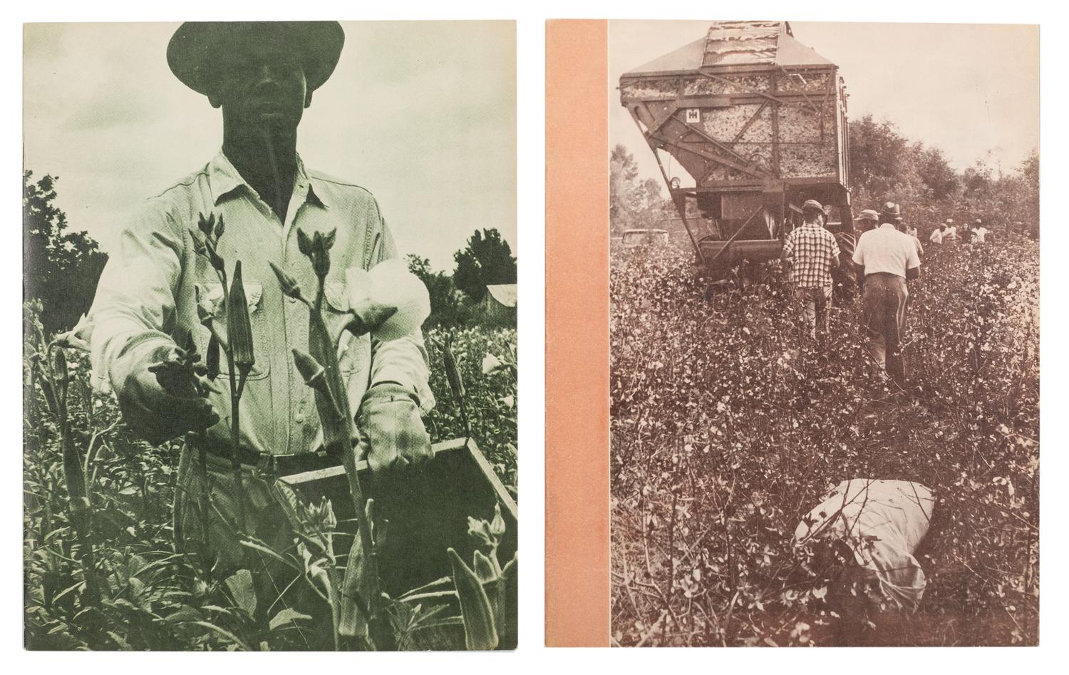[AGRICULTURE]. VARELA, Mary E. Something of Our Own . Jackson, MS: H.J.K. Publishing Co., 1965.