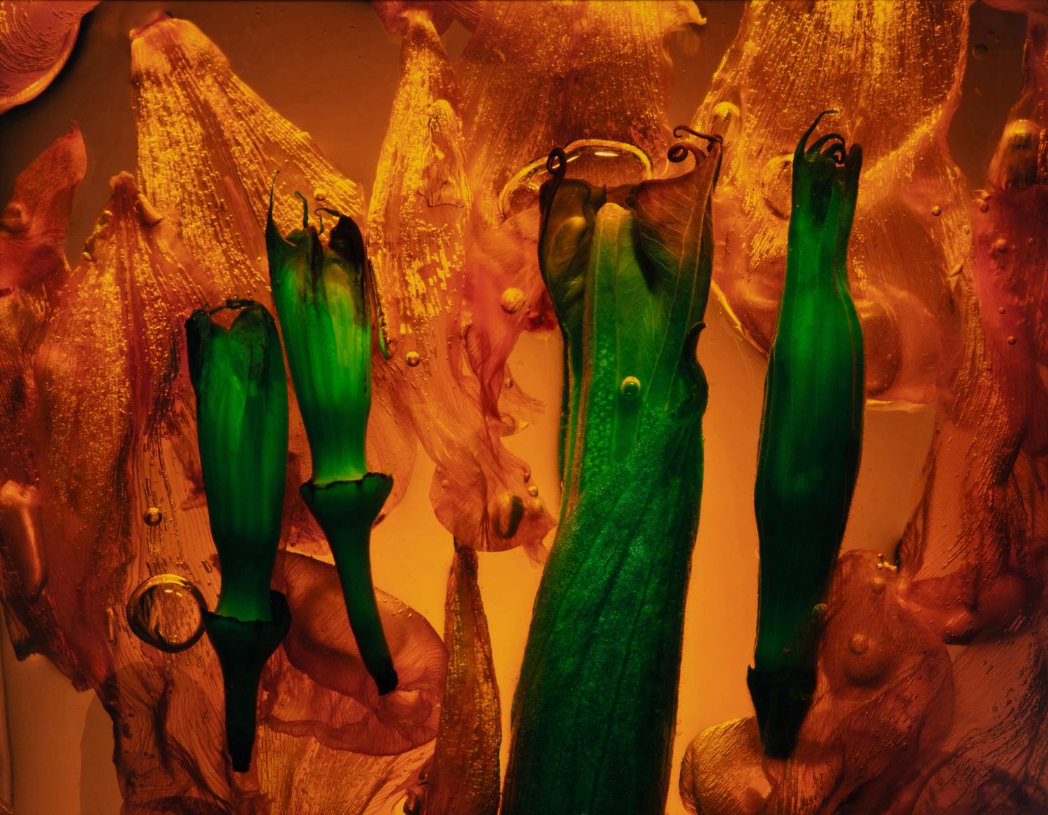 Floaters, Lune Ritual, Galaxy 1, and Standing Figure (a set of four works)