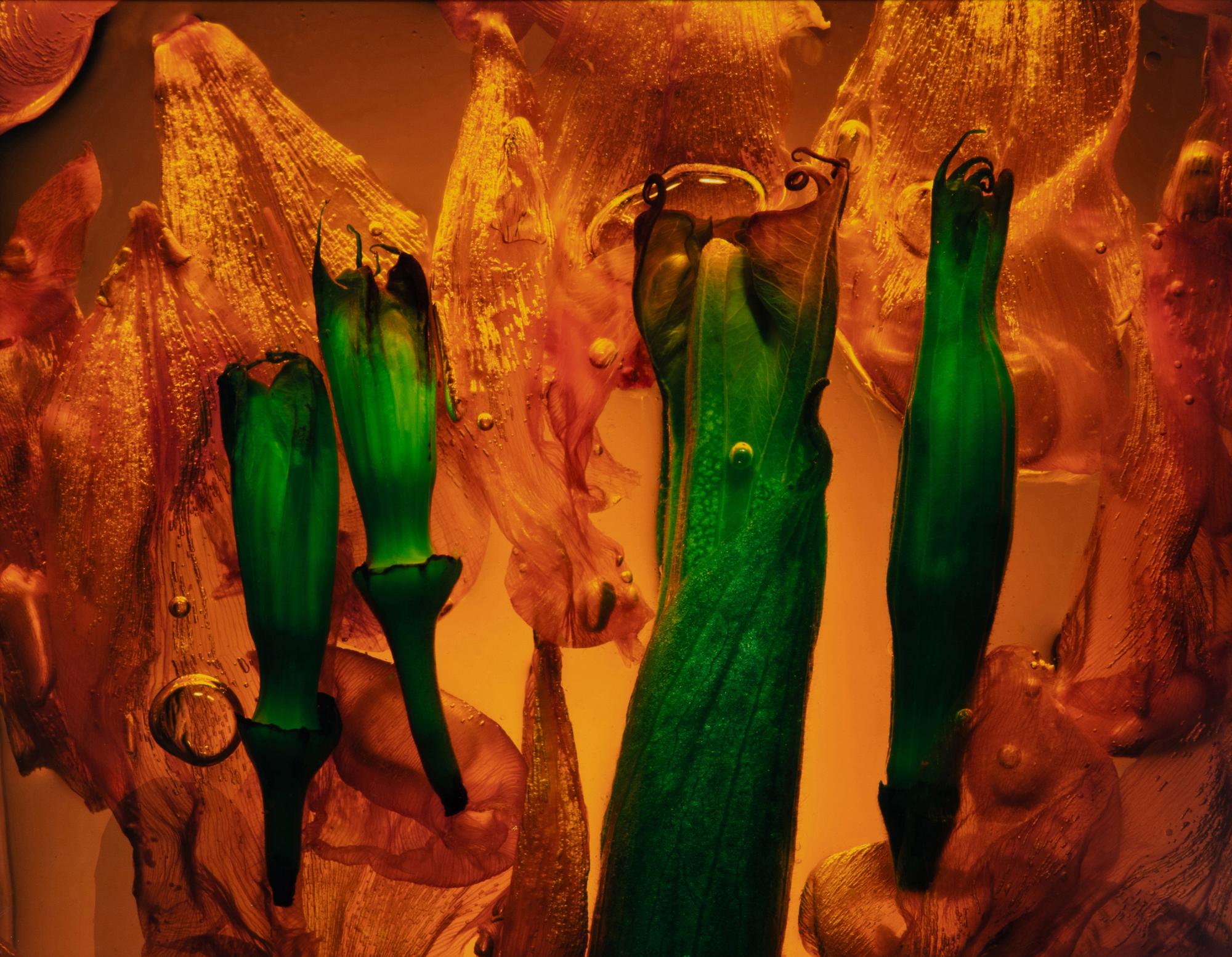 Floaters, Lune Ritual, Galaxy 1, and Standing Figure (a set of four works)