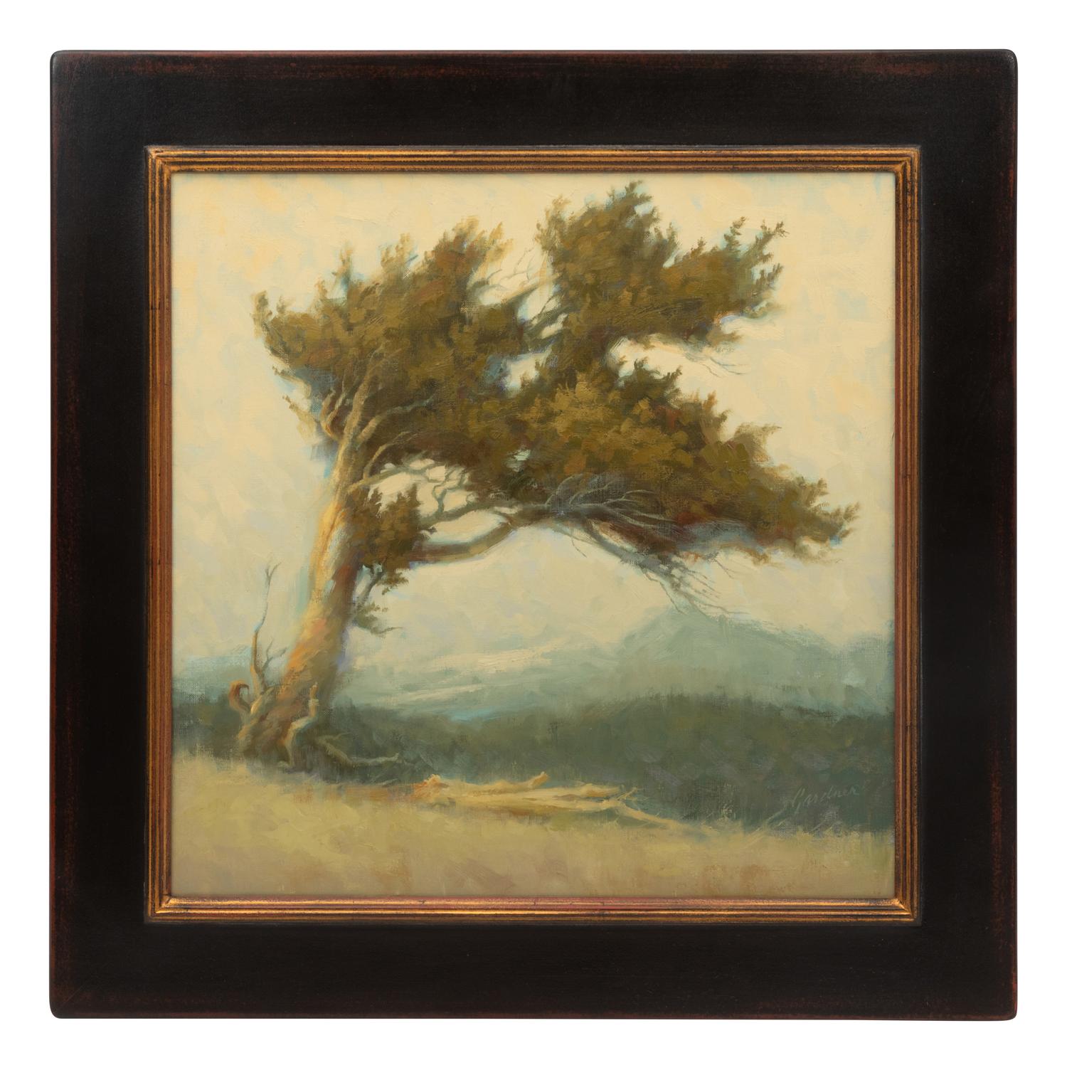 Bristlecone Pine