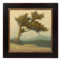 Bristlecone Pine