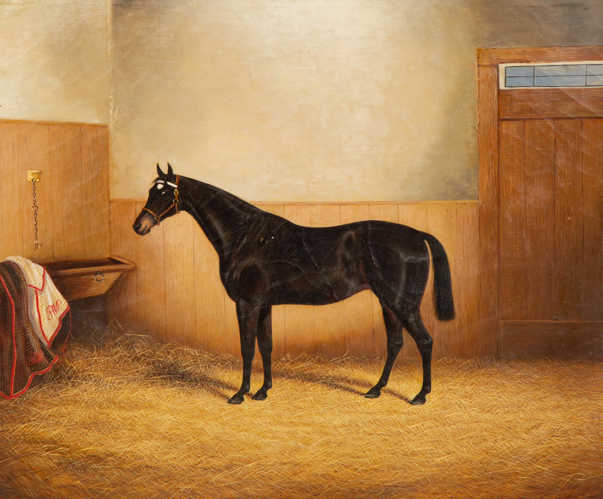 A Dark Brown Horse in a Stable