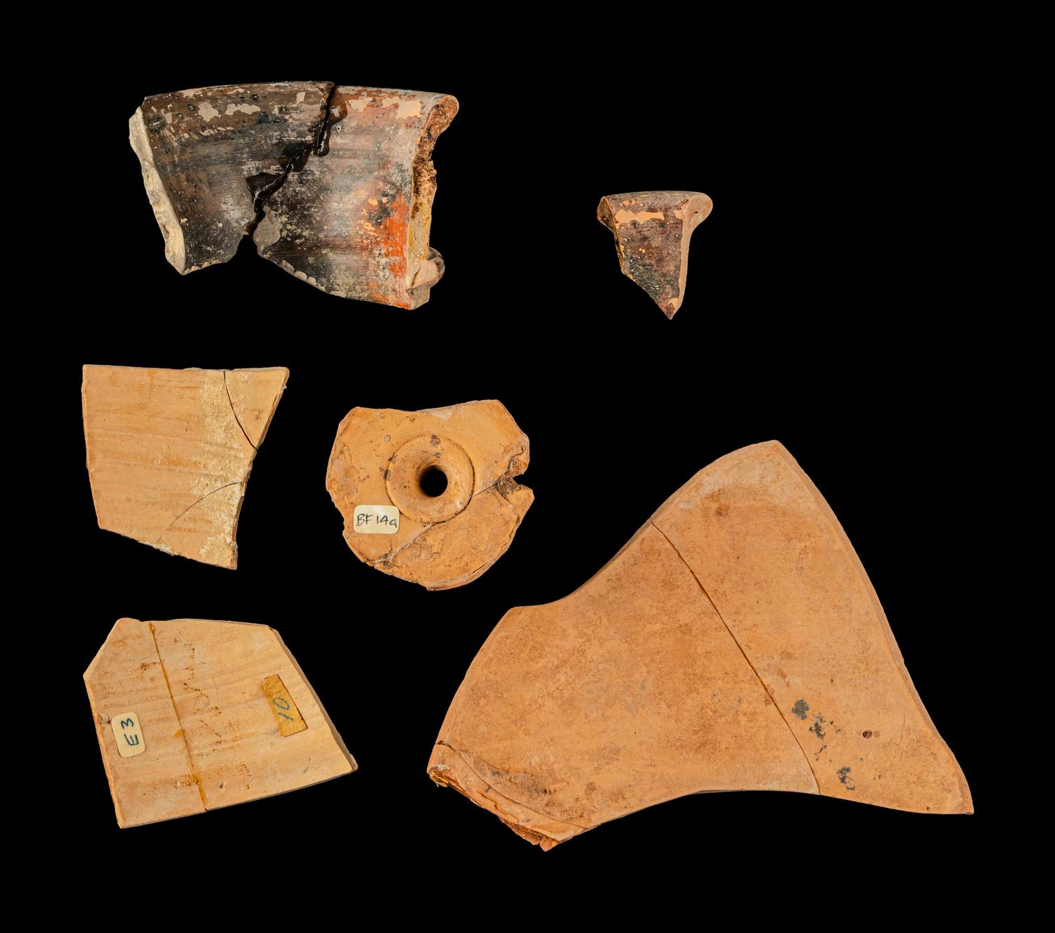 Six Attic and Corinthian Black-Figured Vase Fragments with Animals