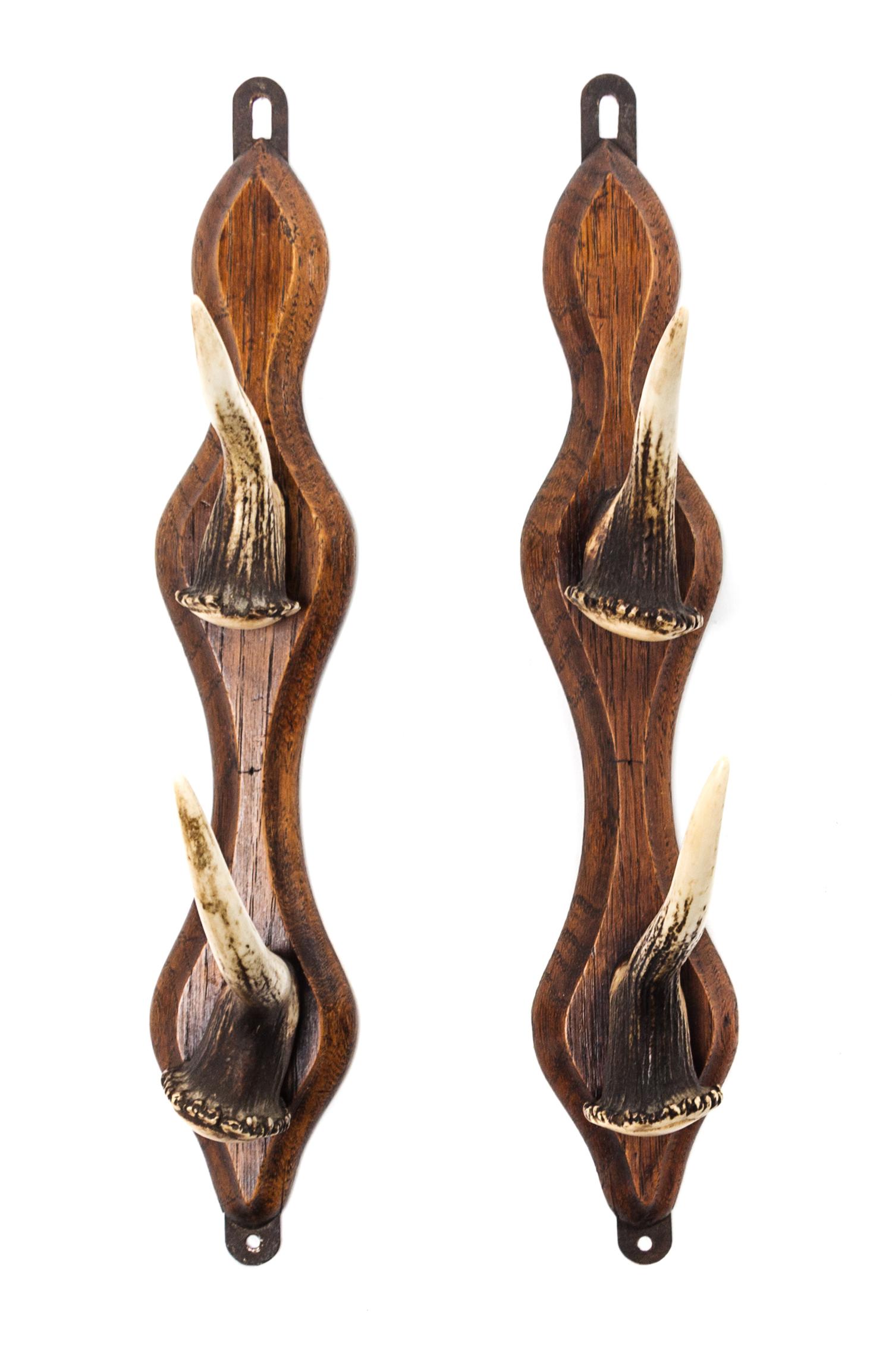 A Pair of German Horn and Oak Coat Racks Height 13 1/2 inches.