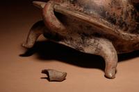 A Colima Terracotta Turtle Vessel