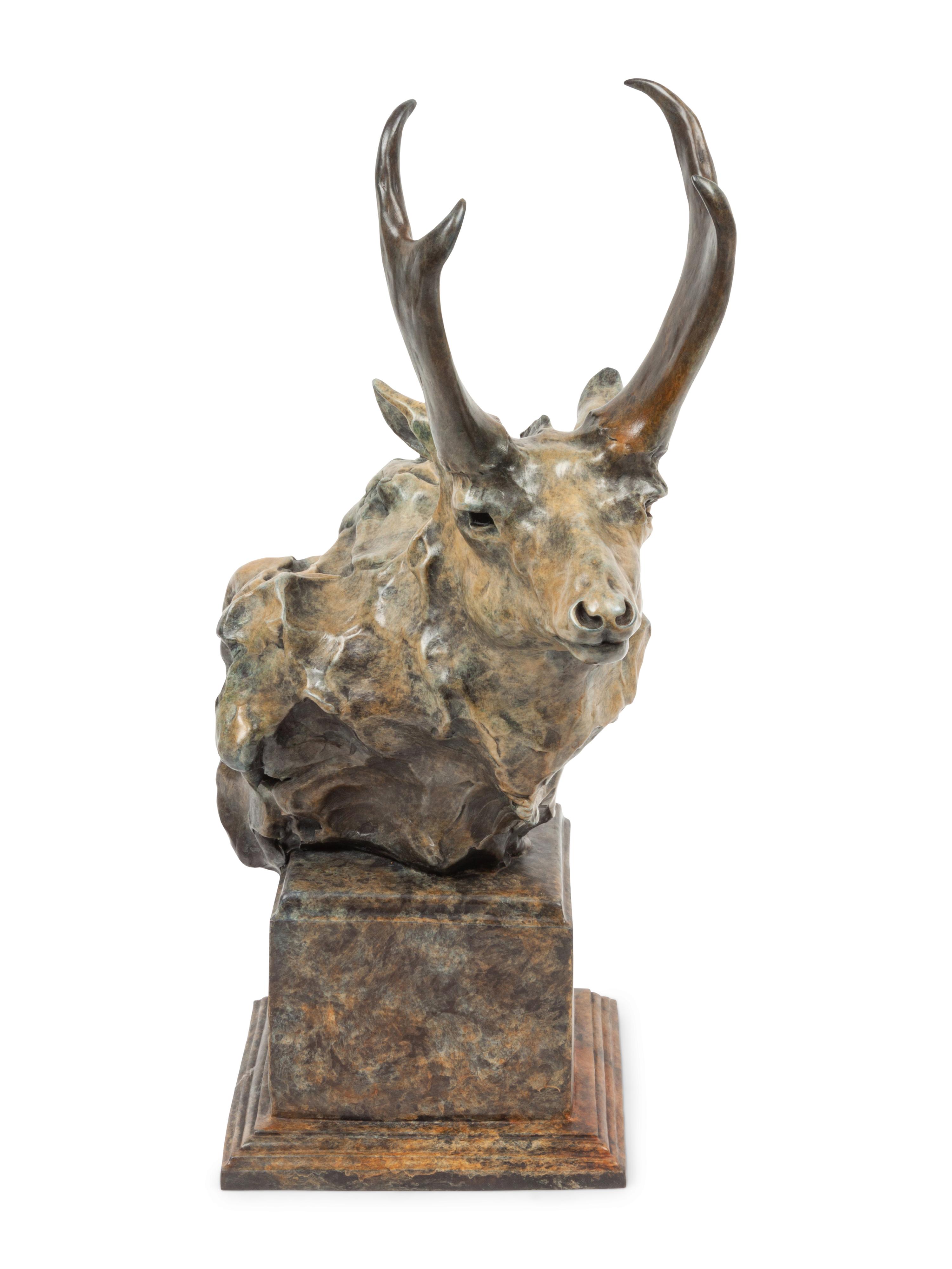 Antelope Bust , edition 8/35