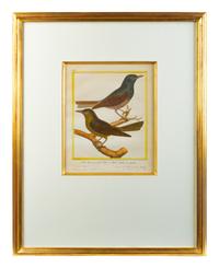 A Set of Four Hand-Colored Engravings After Francois Martinet — 18TH CENTURY