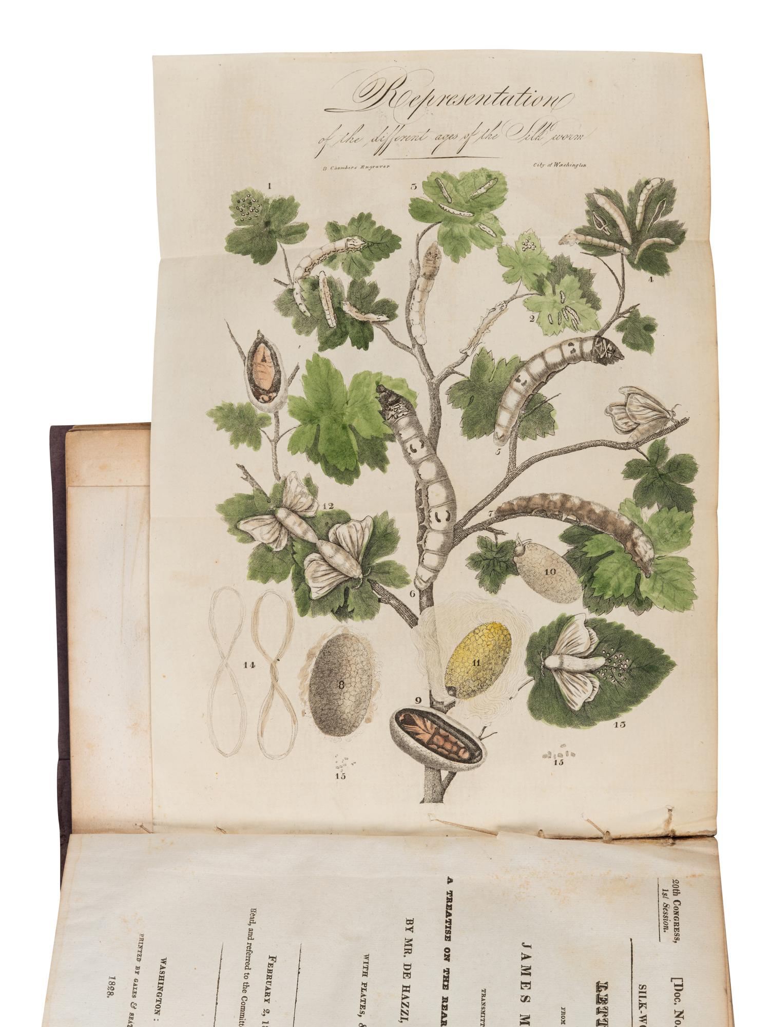 [UNITED STATES HOUSE OF REPRESENTATIVES.] Growth and Manufacture of Silk. Letter from the Secretary of the Treasury… of May 11, 1826, in Relation to the Growth and Manufacture of Silk. Washington: Printed by Gales & Seaton, 1828.
