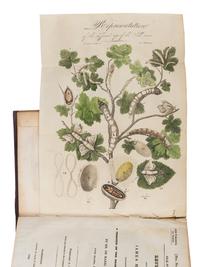 [UNITED STATES HOUSE OF REPRESENTATIVES.] Growth and Manufacture of Silk. Letter from the Secretary of the Treasury… of May 11, 1826, in Relation to the Growth and Manufacture of Silk. Washington: Printed by Gales & Seaton, 1828.