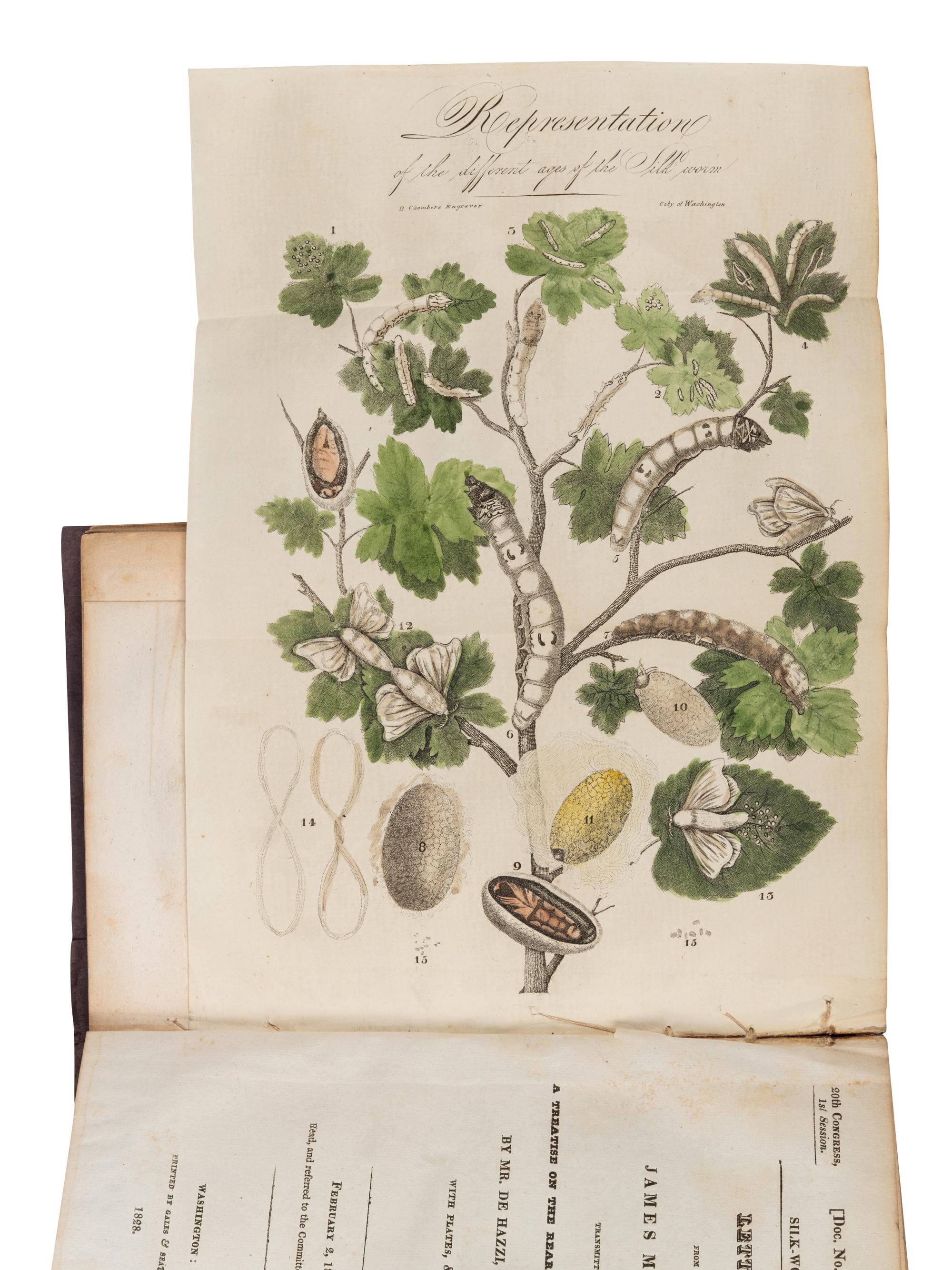 [UNITED STATES HOUSE OF REPRESENTATIVES.] Growth and Manufacture of Silk. Letter from the Secretary of the Treasury… of May 11, 1826, in Relation to the Growth and Manufacture of Silk. Washington: Printed by Gales & Seaton, 1828.