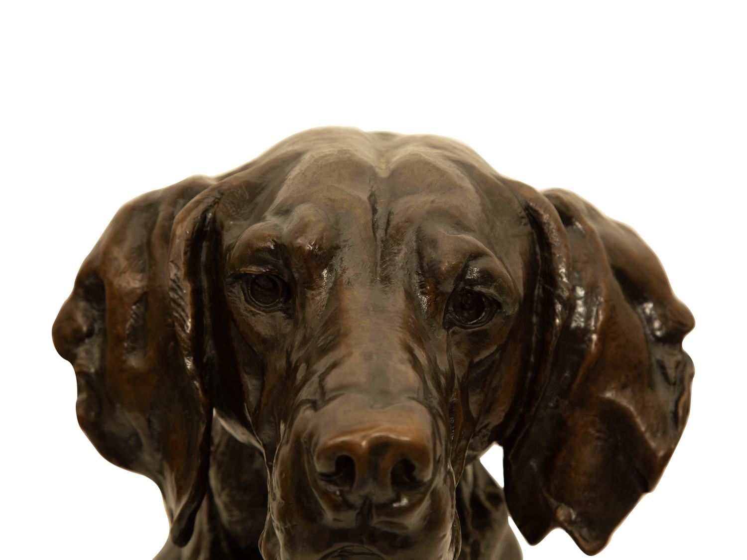 Portrait Head of a Hound
