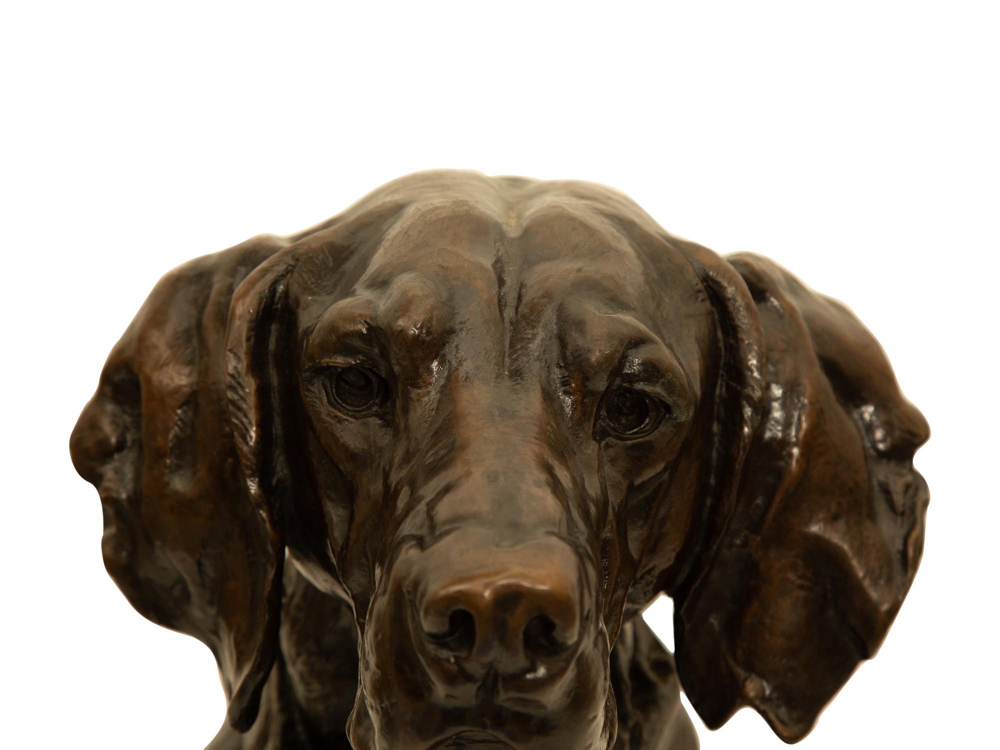 Portrait Head of a Hound