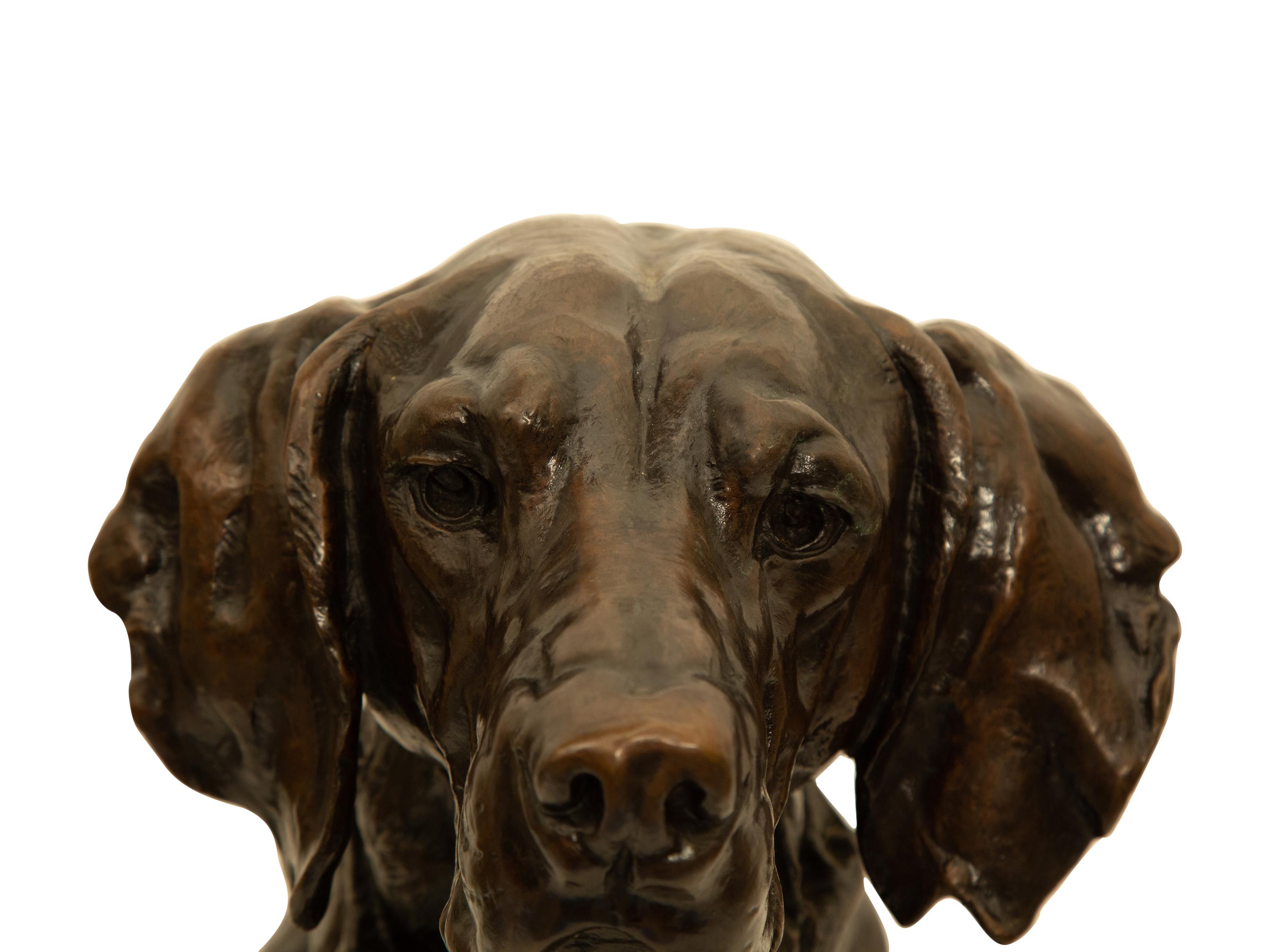 Portrait Head of a Hound