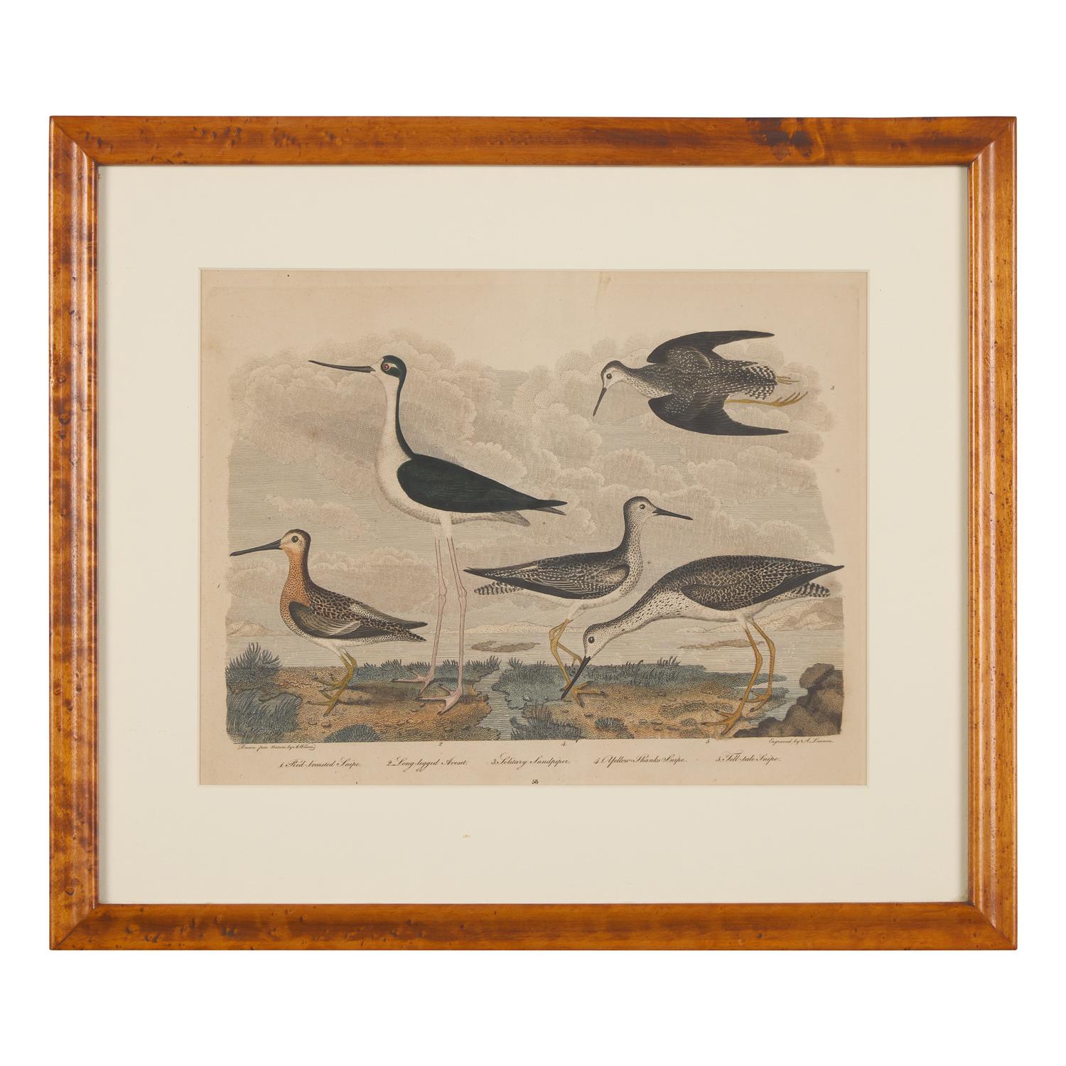 Alexander Lawson (1773-1846) and John G. Warnicke (died 1818), After Alexander Wilson (1766-1813), A Set of Sixteen Hand-Colored Engravings of Various Birds