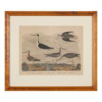 Alexander Lawson (1773-1846) and John G. Warnicke (died 1818), After Alexander Wilson (1766-1813), A Set of Sixteen Hand-Colored Engravings of Various Birds