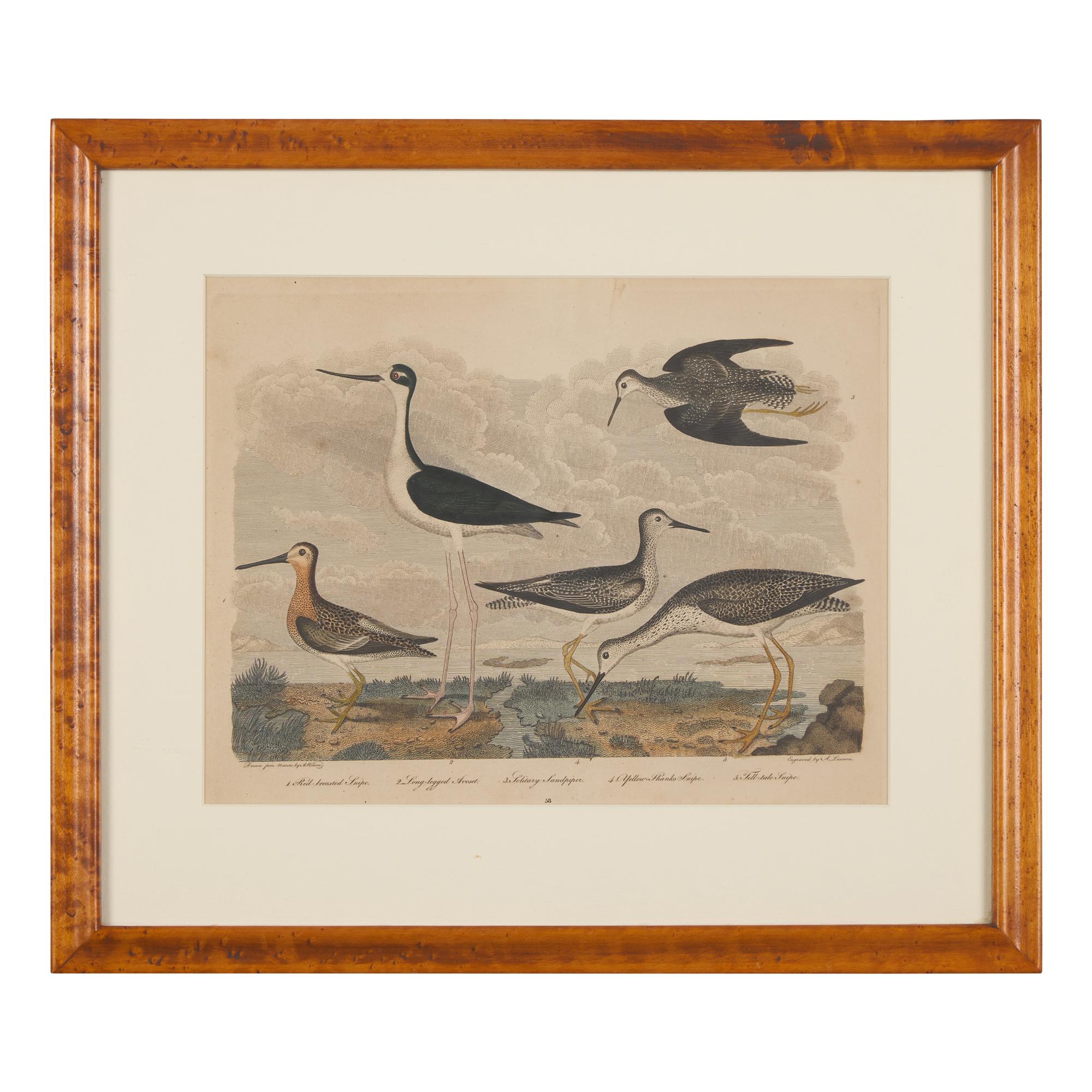 Alexander Lawson (1773-1846) and John G. Warnicke (died 1818), After Alexander Wilson (1766-1813), A Set of Sixteen Hand-Colored Engravings of Various Birds