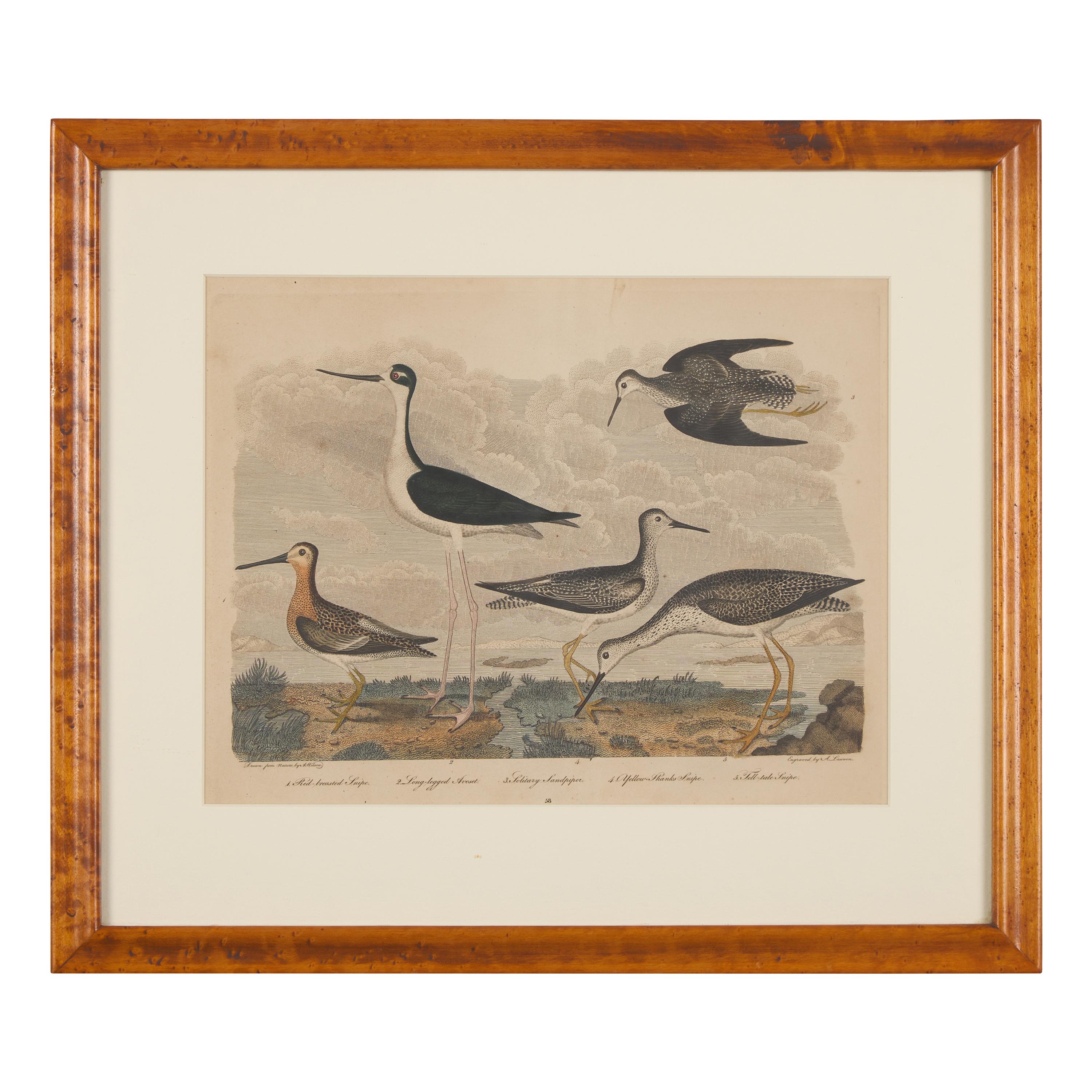 Alexander Lawson (1773-1846) and John G. Warnicke (died 1818), After Alexander Wilson (1766-1813), A Set of Sixteen Hand-Colored Engravings of Various Birds