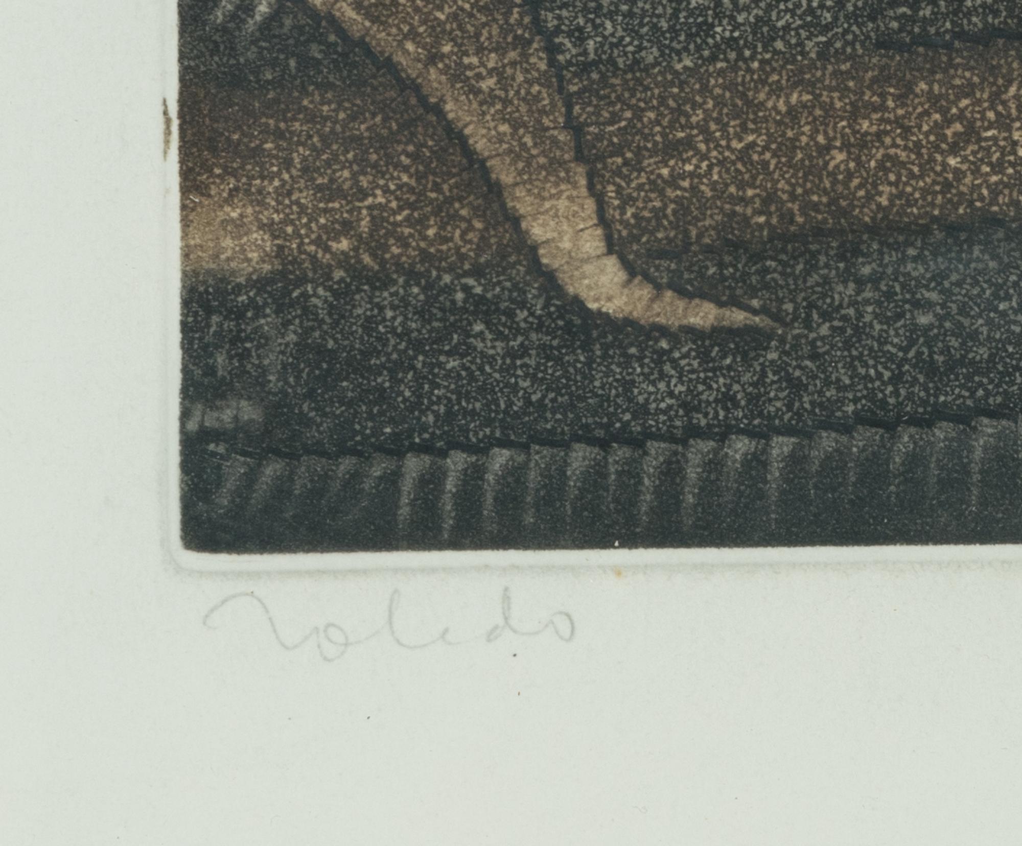 La Iguana , 1978