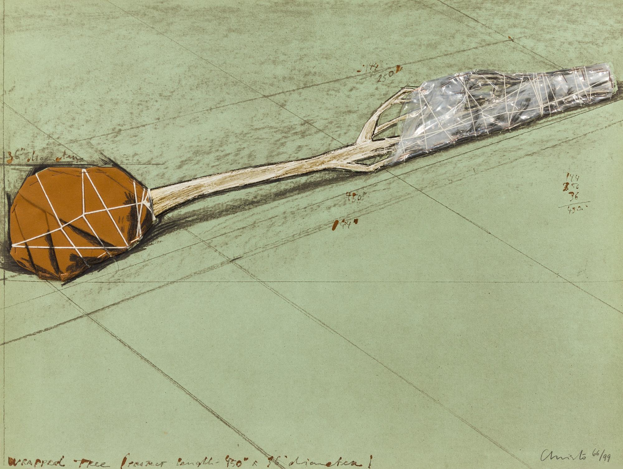 Christo and Jeanne-Claude, (Bulgarian/American, b. 1935), Wrapped Tree Project, 1979