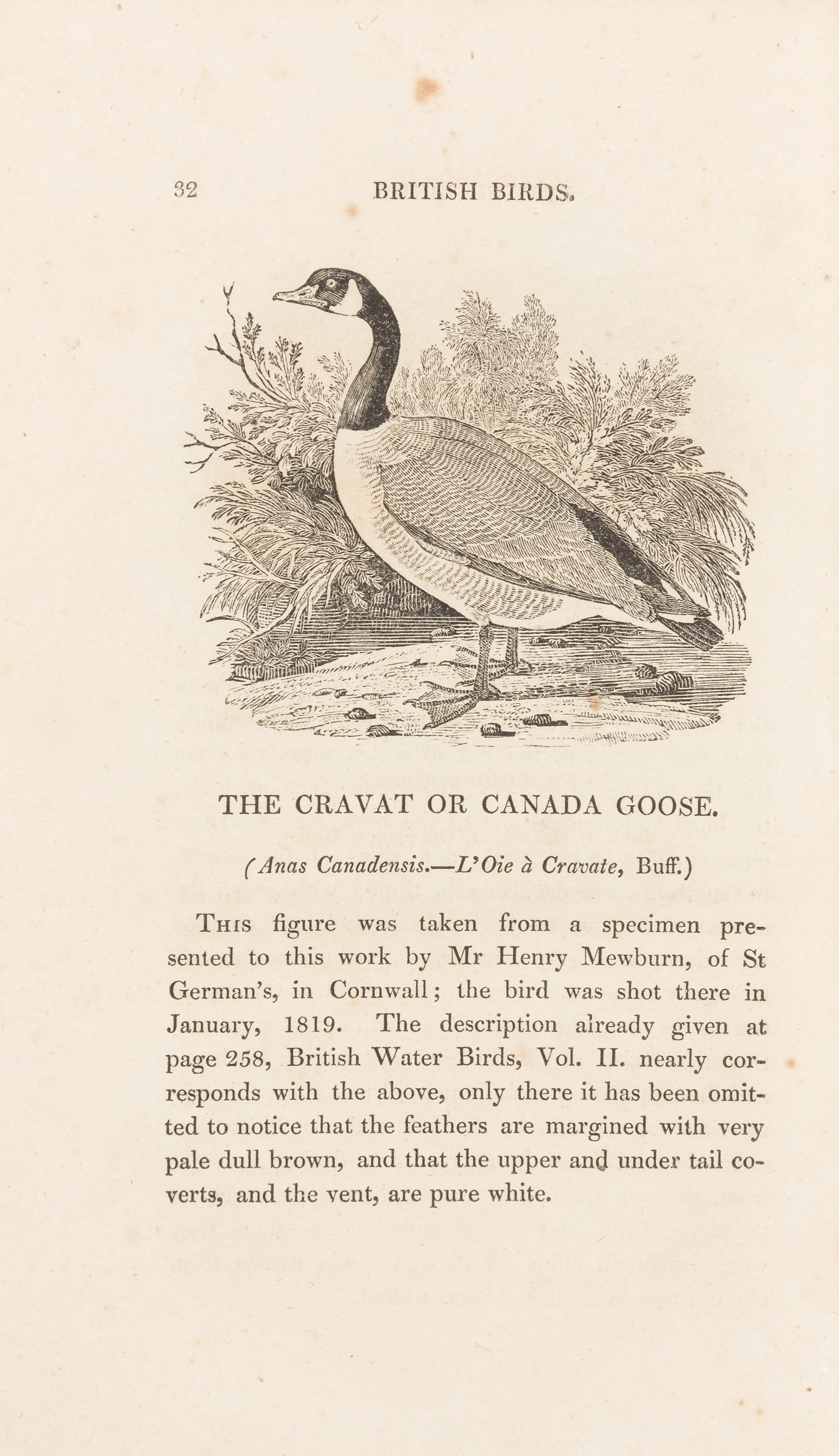 BEWICK, Thomas (1753-1828). A History of British Birds. Newcastle: Edward Walker, 1821.