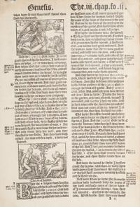 [BIBLE LEAVES - ENGLISH - 16TH CENTURY]. A group of 9 Bible leaves in English, comprising: