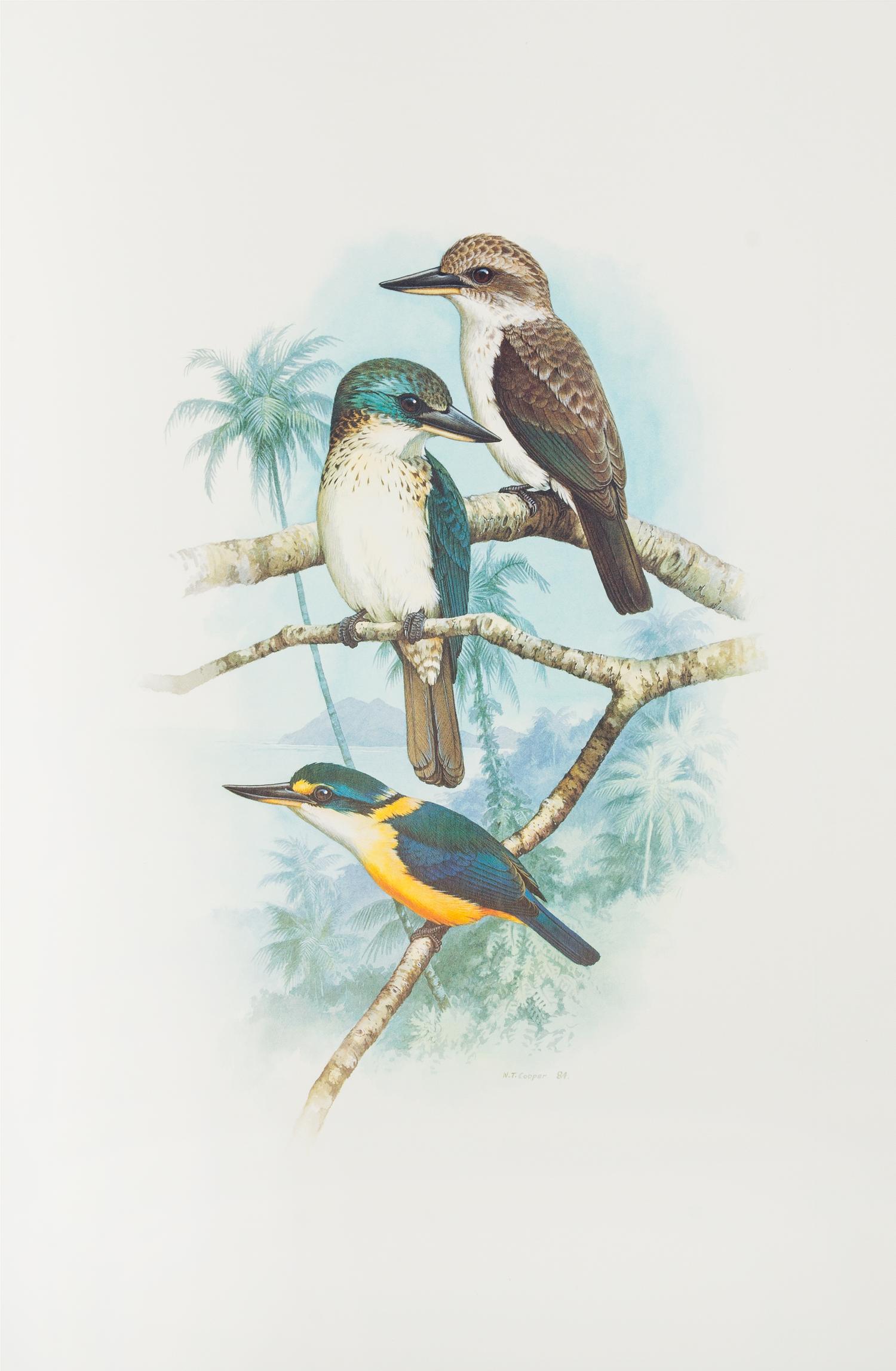 FORSHAW, Joseph Michael and COOPER, William T. Kingfishers and Related Birds. Sydney, 1983-1994. Six volumes.