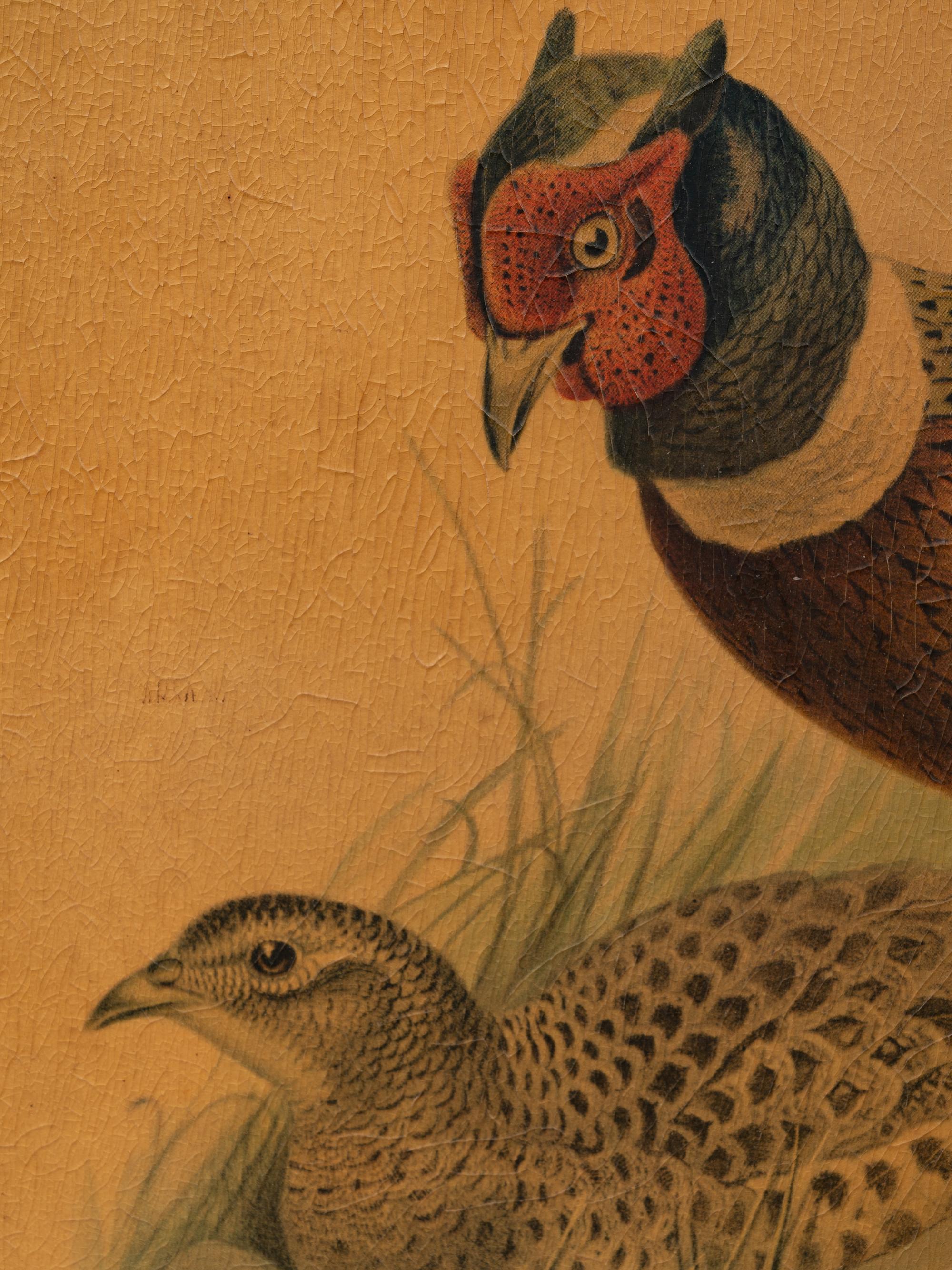 A Pair of Pheasant Prints (19th/20th Century)