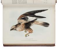 [NATURAL HISTORY]. RICHARDSON, John (1787-1865) and William SWAINSON (1789-1855). Fauna Boreali-Americana; or the Zoology of the Northern Parts of British America...Part First, containing the Quadrupeds . -- Fauna Boreali-Americana; or the Zoology of the Northern Parts of British America...Part Second, the Birds . London: John Murray, 1829, 1831.