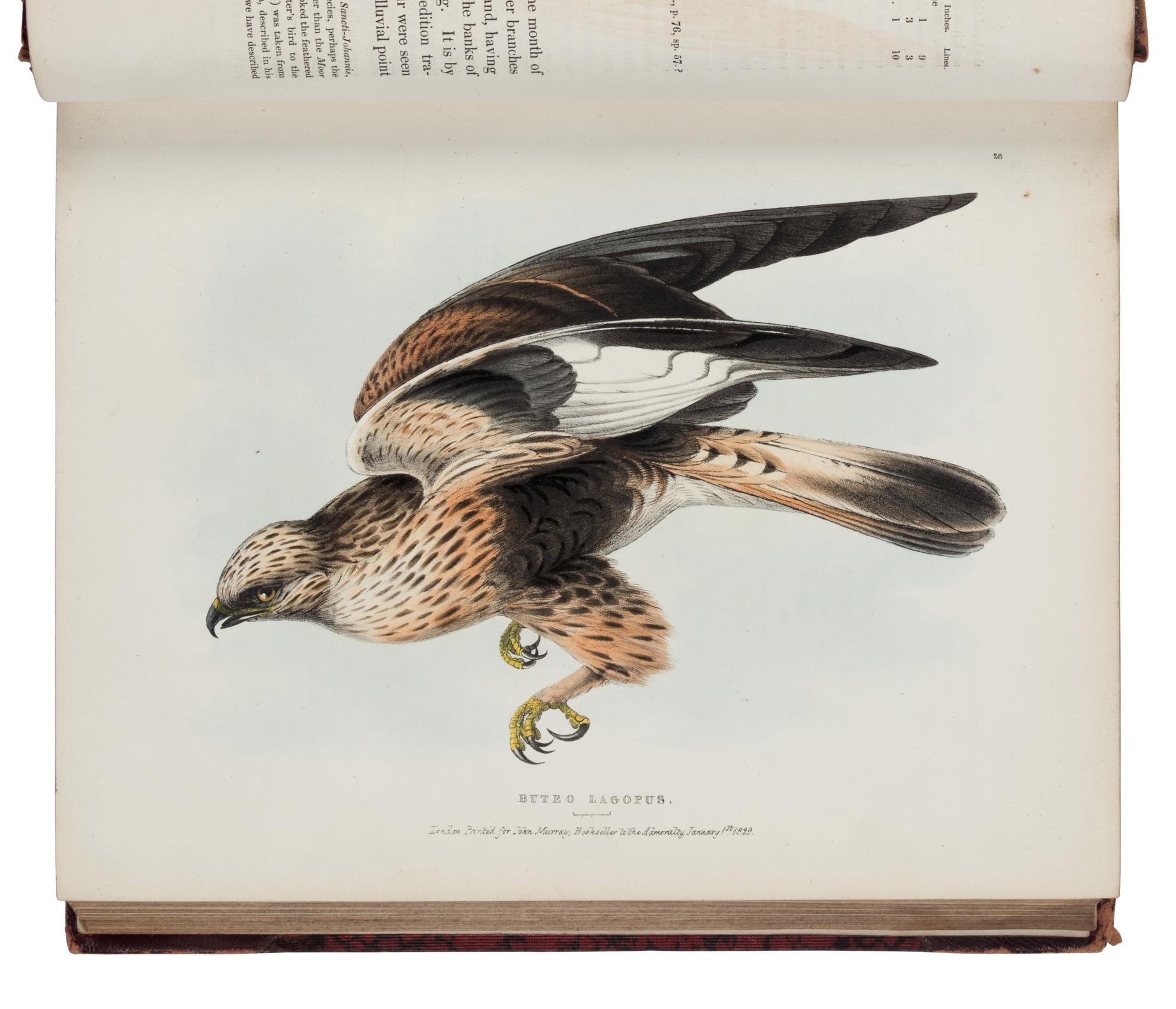 [NATURAL HISTORY]. RICHARDSON, John (1787-1865) and William SWAINSON (1789-1855). Fauna Boreali-Americana; or the Zoology of the Northern Parts of British America...Part First, containing the Quadrupeds . -- Fauna Boreali-Americana; or the Zoology of the Northern Parts of British America...Part Second, the Birds . London: John Murray, 1829, 1831.