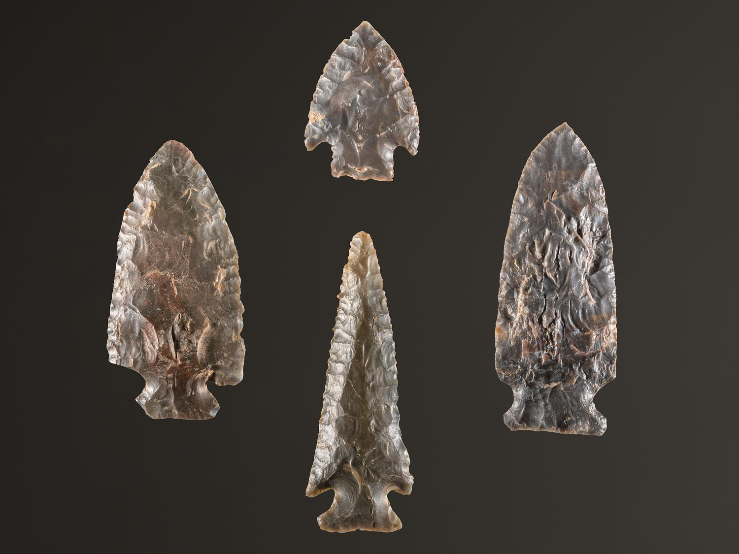 A Group of Sonora Flint Points