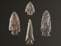 A Group of Sonora Flint Points