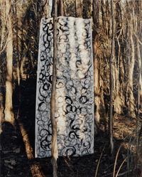 Untitled II (Everglades), A Triptych, 2003