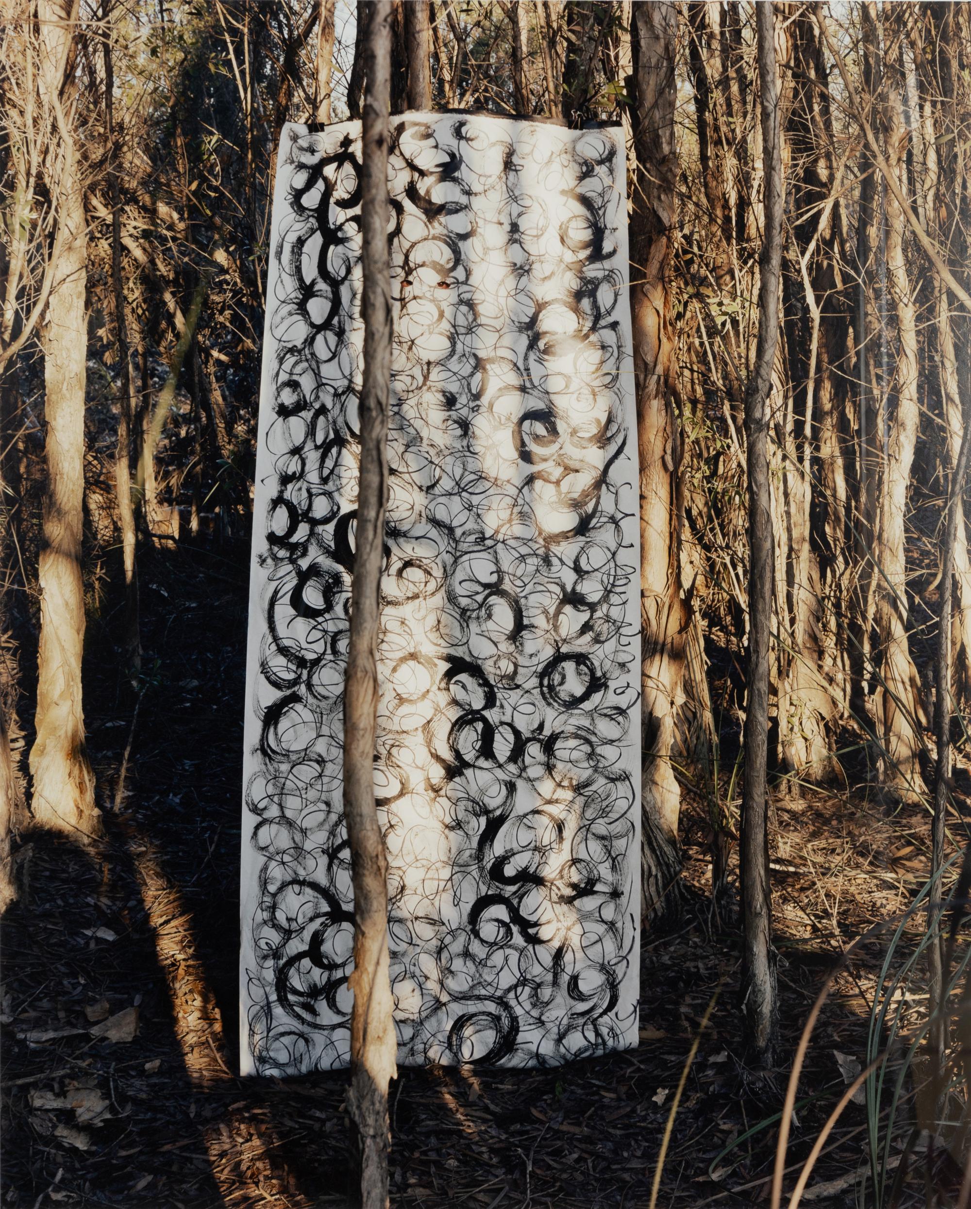 Untitled II (Everglades), A Triptych, 2003