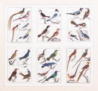 A Framed Group of Six Colored Engravings of Birds
