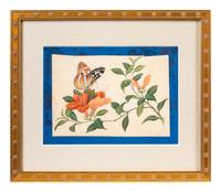 A Group of Six Chinese Pith Paintings of Butterflies and Flowers — 19TH/20TH CENTURY