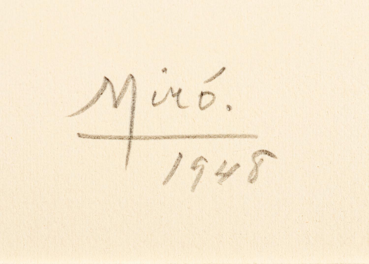 Plate I and Plate X from Album 13