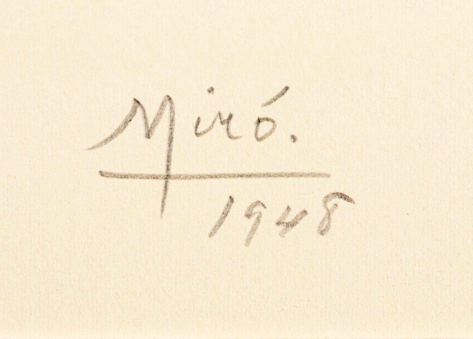 Plate I and Plate X from Album 13