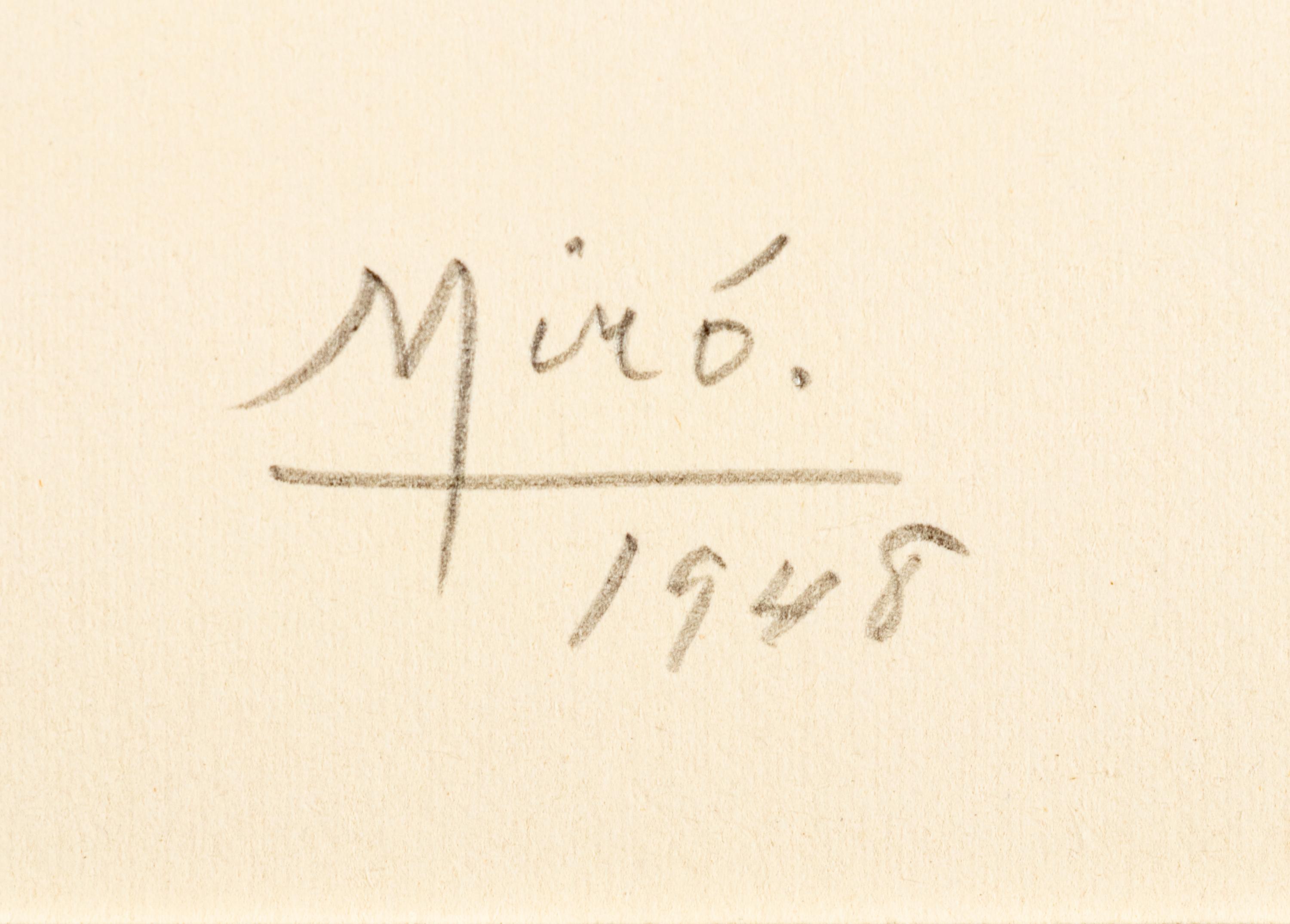 Plate I and Plate X from Album 13