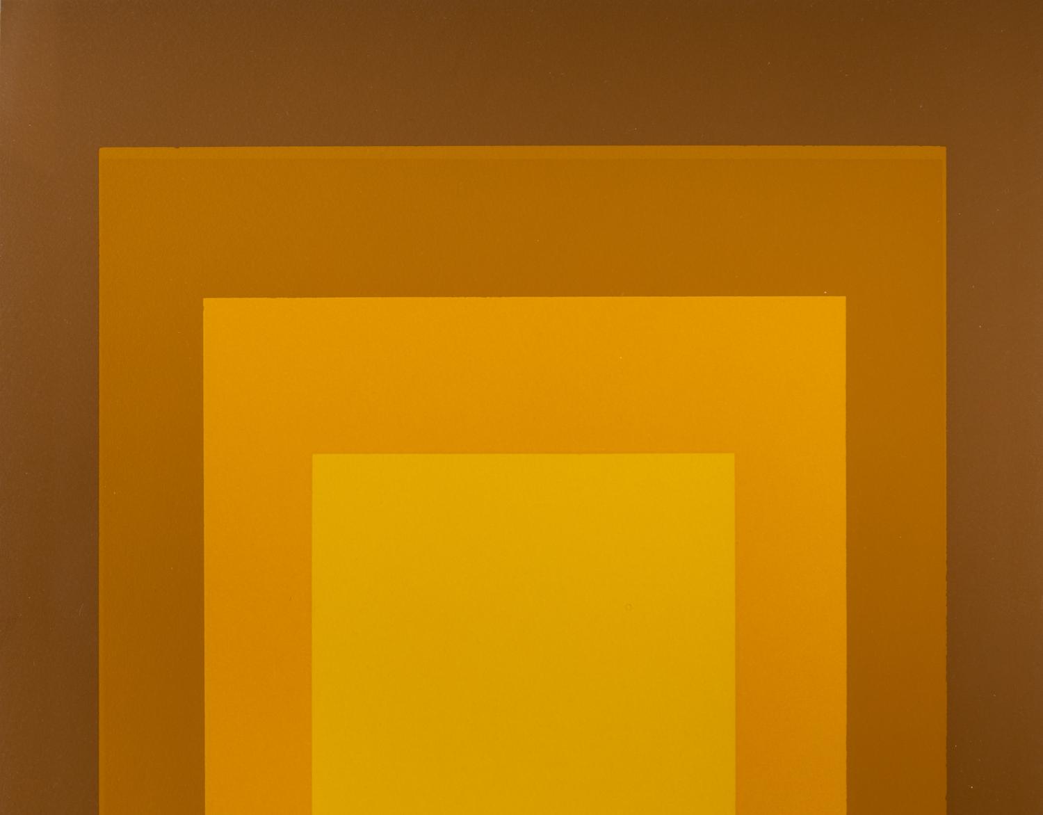 Untitled (from Hommage au carré )