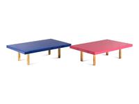 Two Contemporary Low Tables